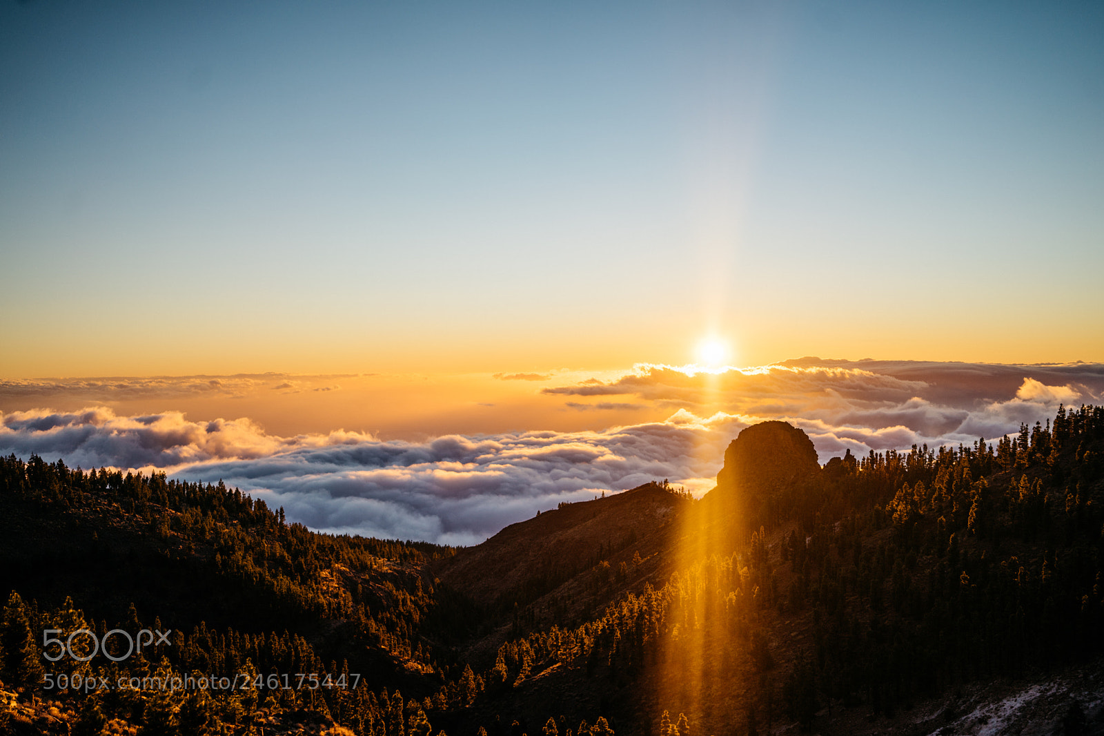 Sony a7 II sample photo. Sunset above the clouds photography