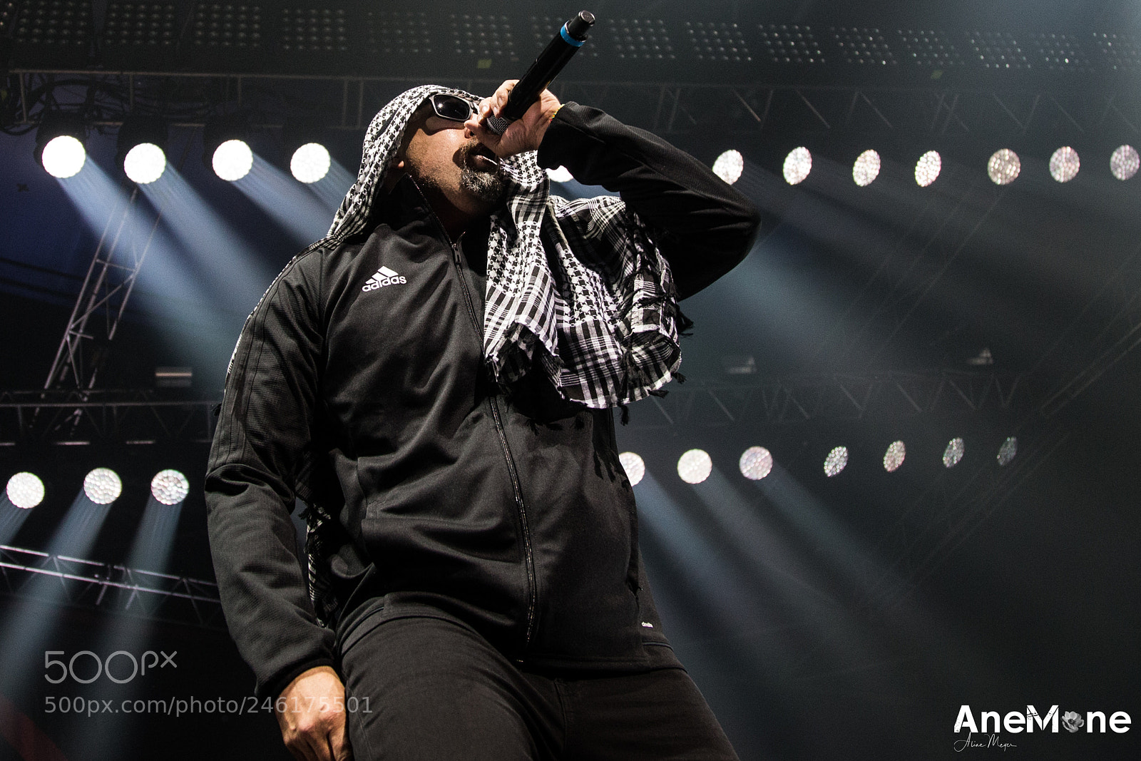Canon EOS-1D X sample photo. Prophets of rage photography