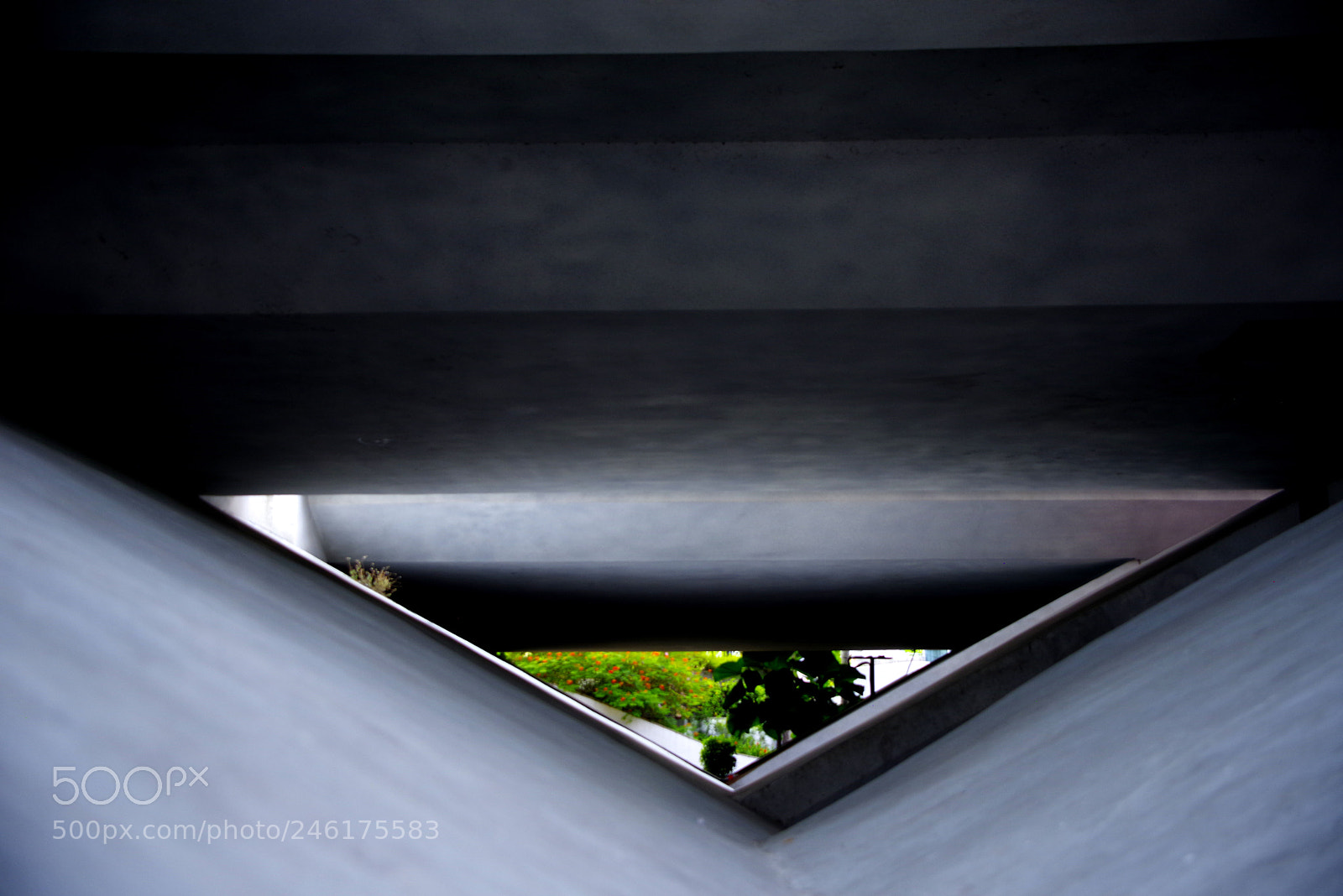 Pentax K-1 sample photo. Grey on green photography