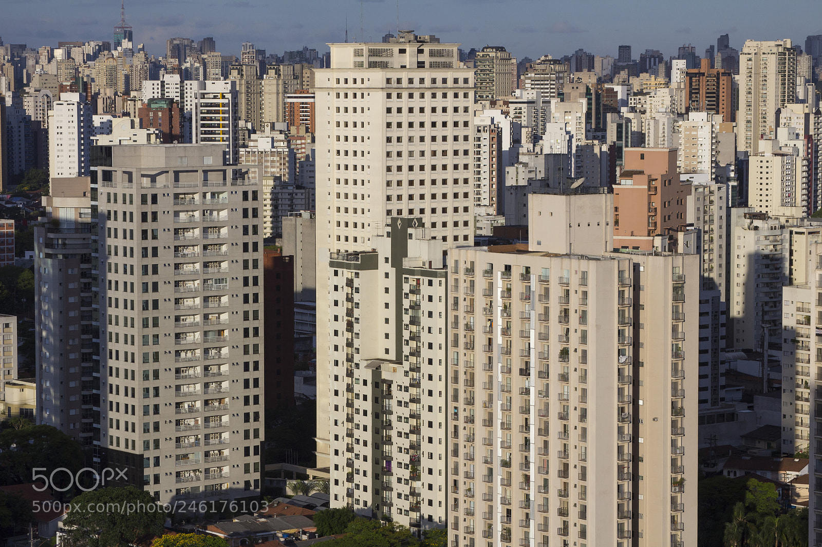 Canon EOS 60D sample photo. Ranimiro sao paulo city photography