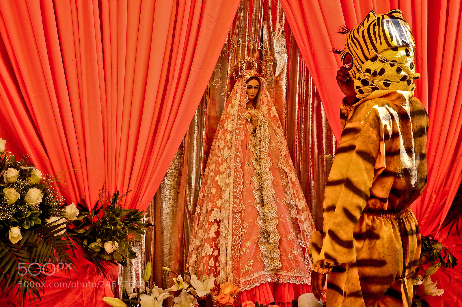 Fujifilm FinePix SL1000 sample photo. El tigre y la photography