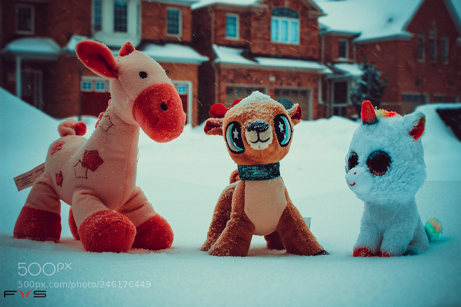 Canon EOS 600D (Rebel EOS T3i / EOS Kiss X5) sample photo. Party in snow..!! photography