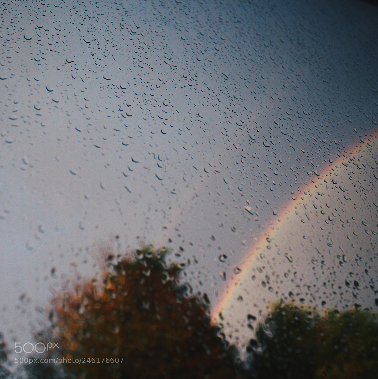 Canon EOS 700D (EOS Rebel T5i / EOS Kiss X7i) sample photo. Rainbow photography