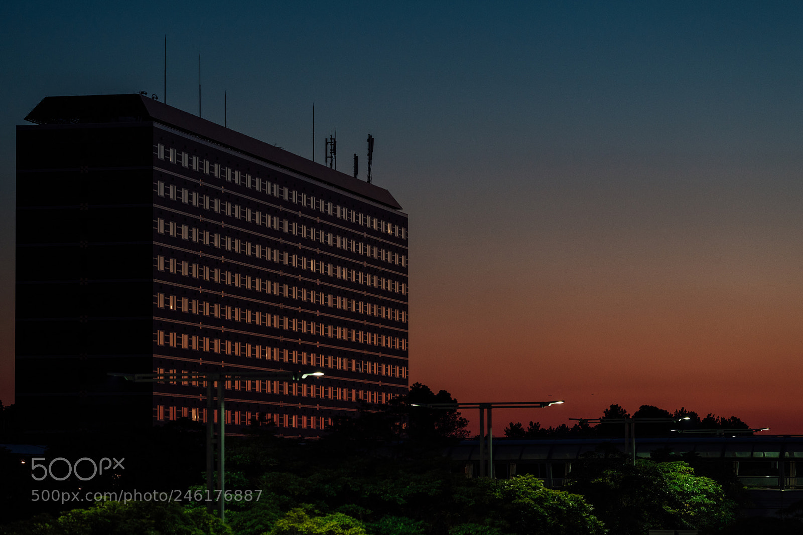 Nikon D850 sample photo. On the way home photography