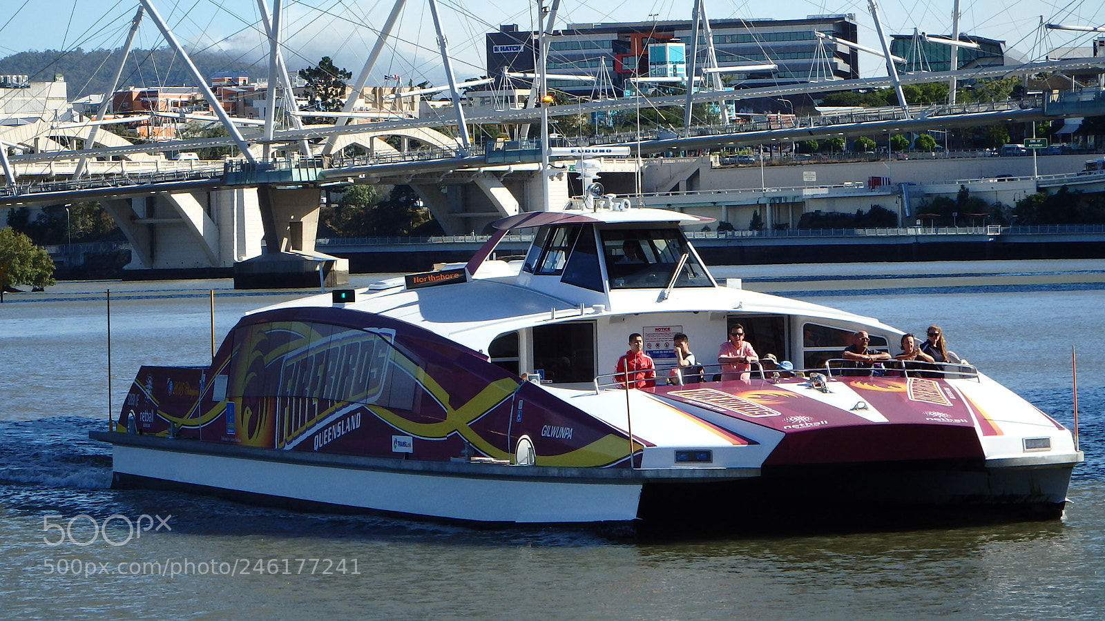 Olympus SP-100EE sample photo. City cat brisbane photography