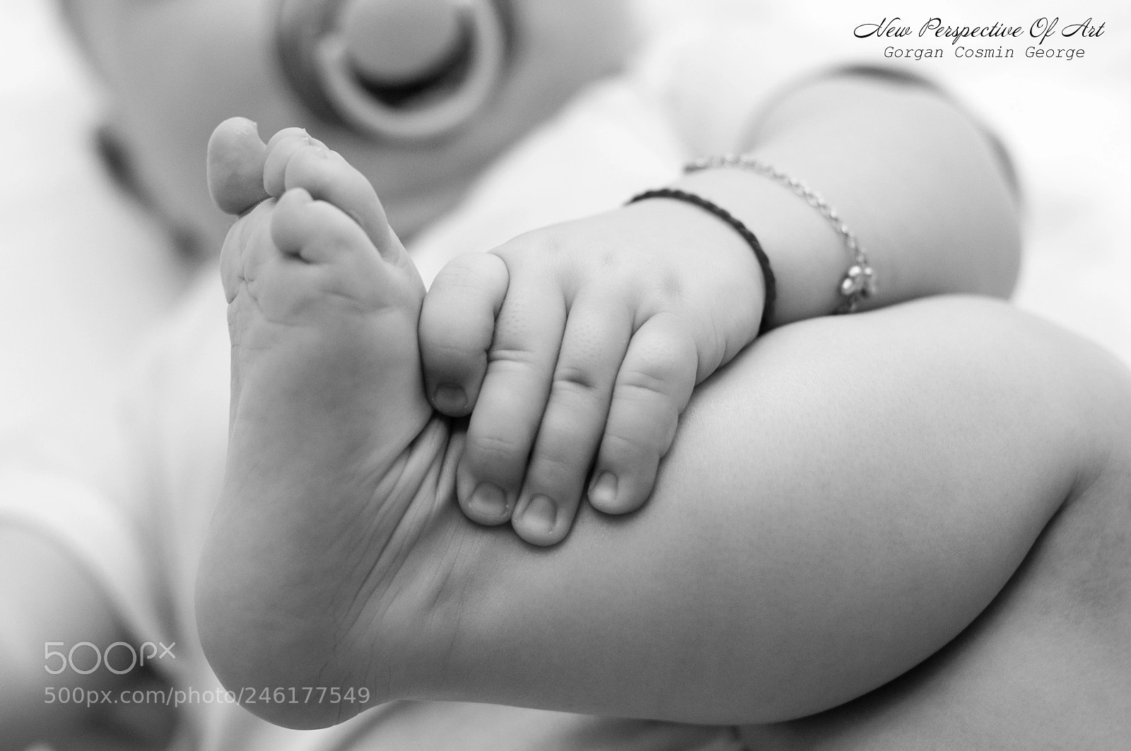Nikon D90 sample photo. Maia photography