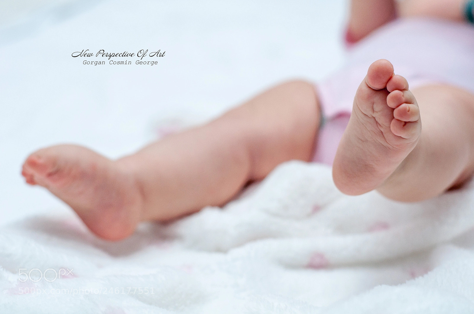Nikon D90 sample photo. Maia photography
