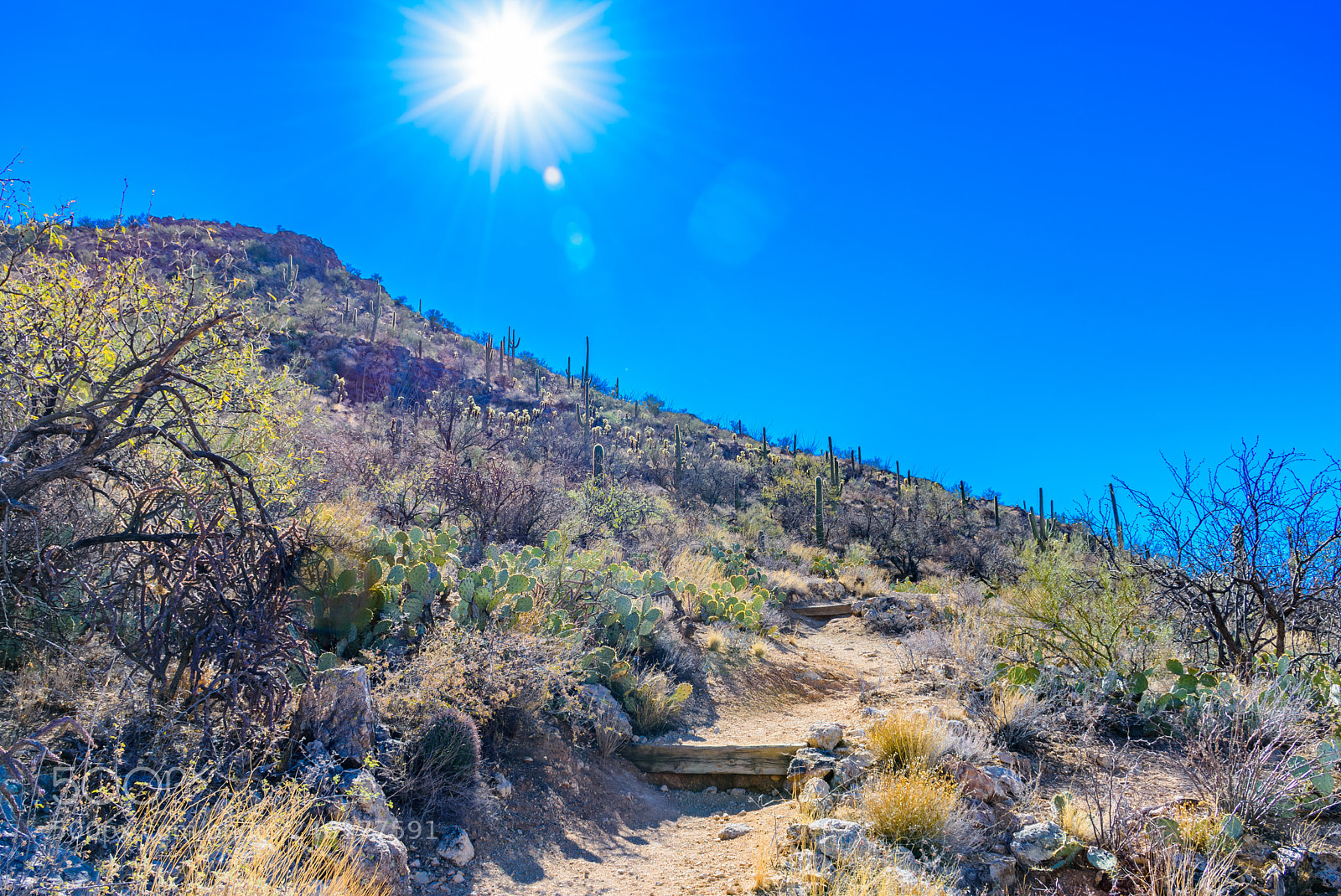 Nikon D7200 sample photo. Sun over tucson hills photography