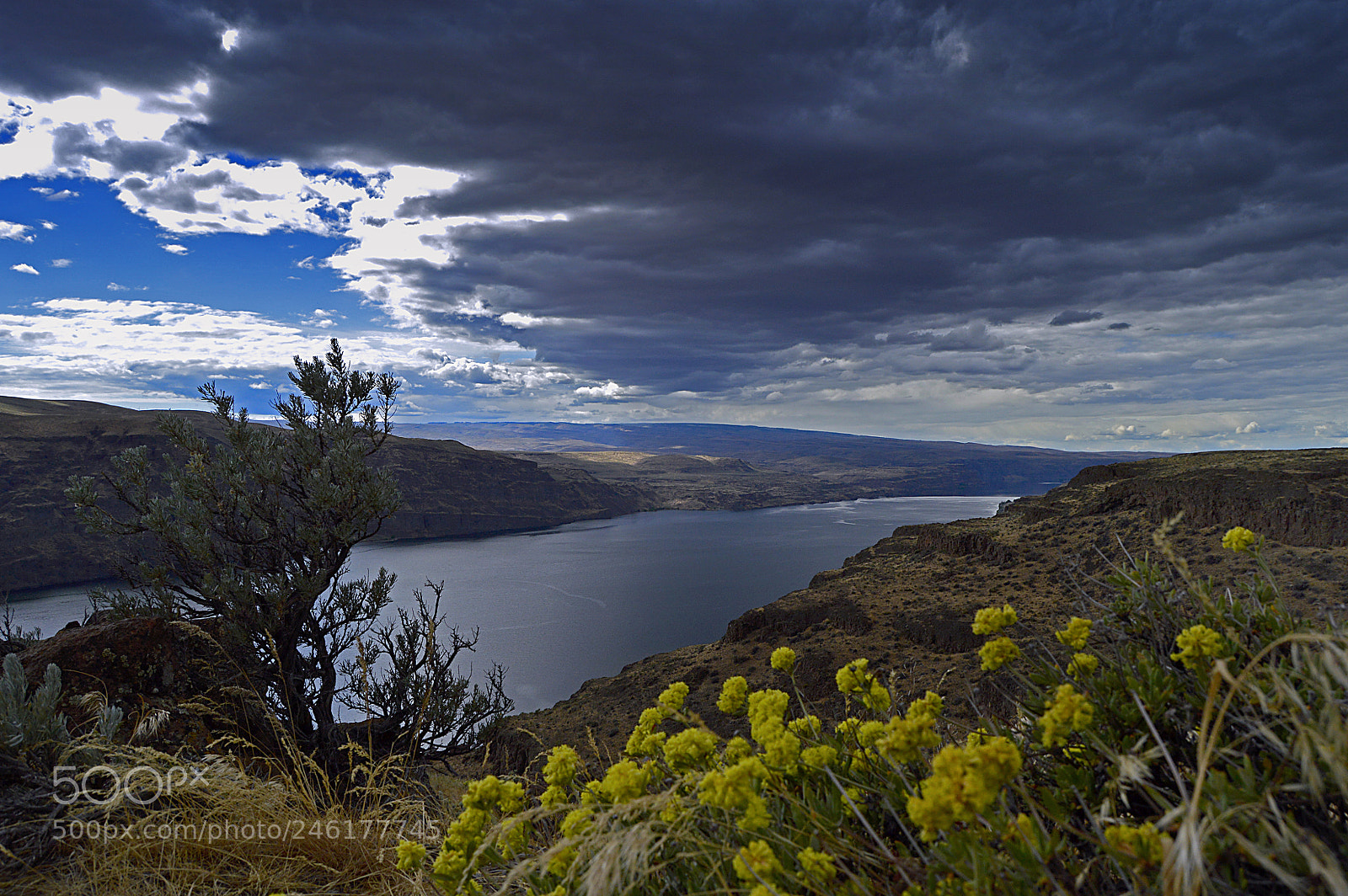 Nikon D3200 sample photo. Columbiagorge photography
