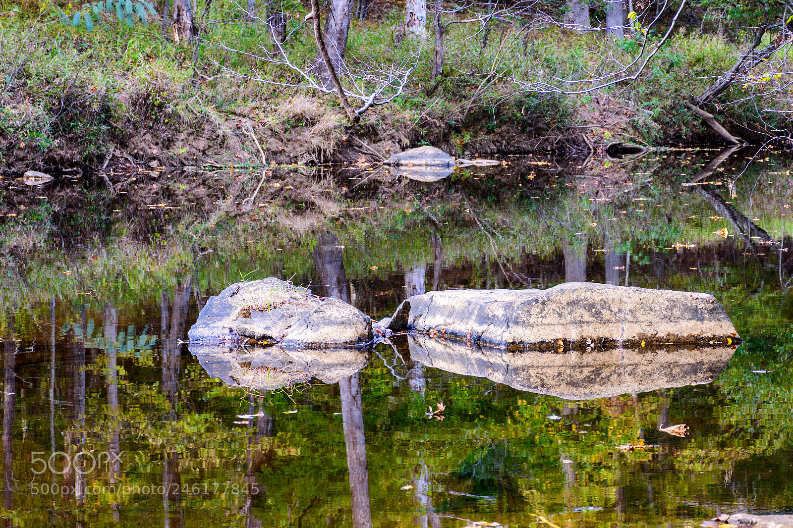 Nikon D7200 sample photo. Reflections on the eno photography