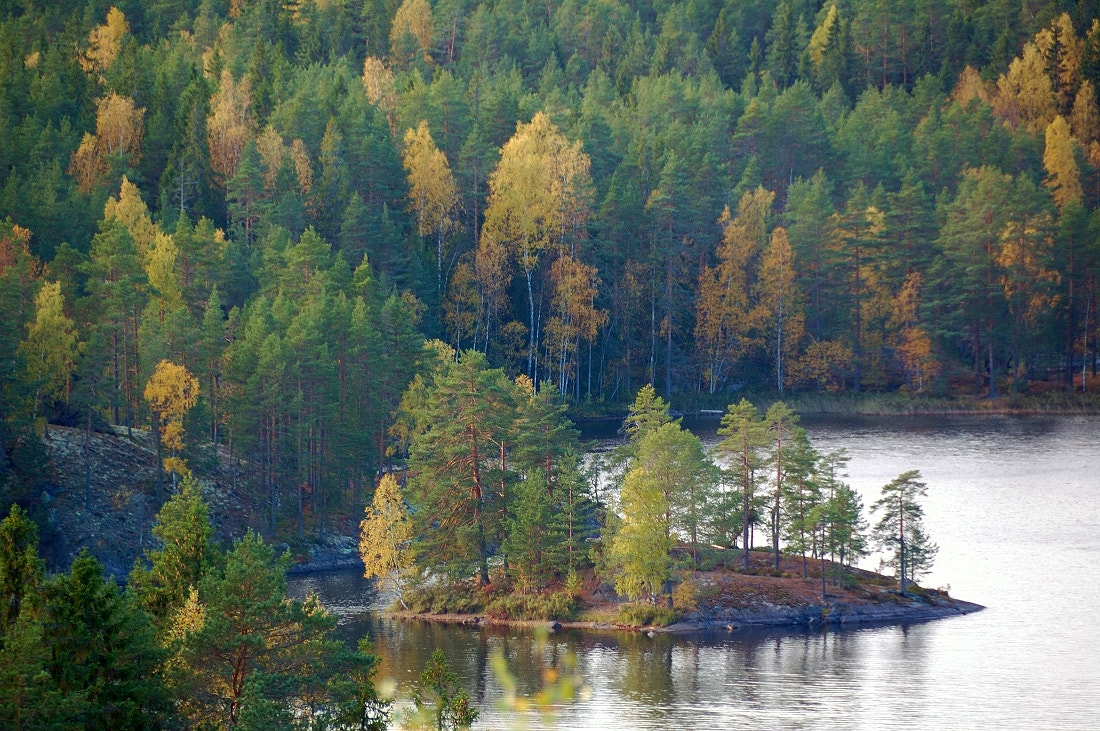 Nikon D40 sample photo. Autumn island photography