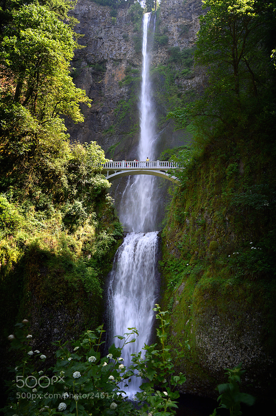 Nikon D3200 sample photo. Multnomah photography