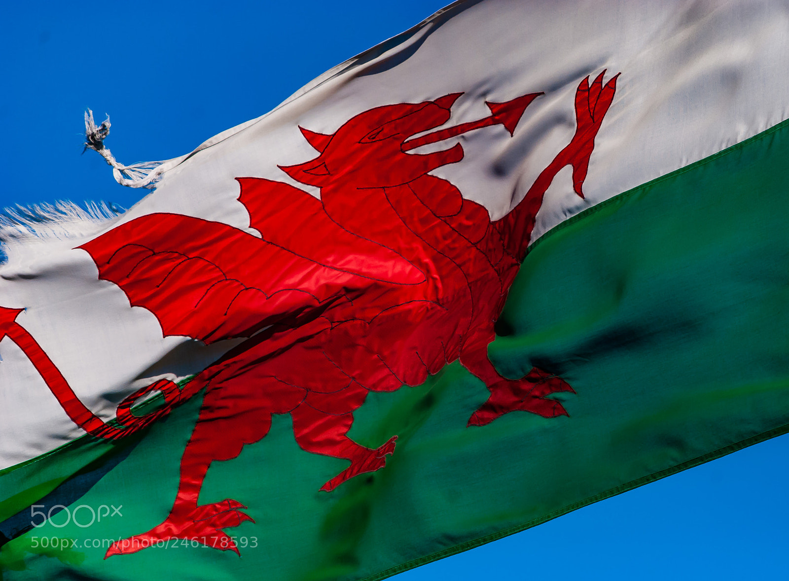 Nikon D40X sample photo. Welsh flag flapping photography
