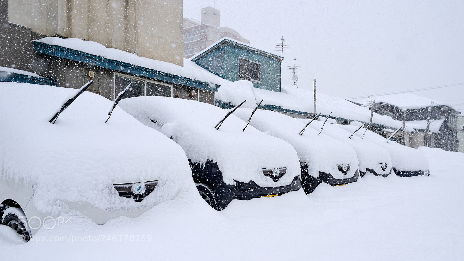 Nikon Df sample photo. Snow on car photography