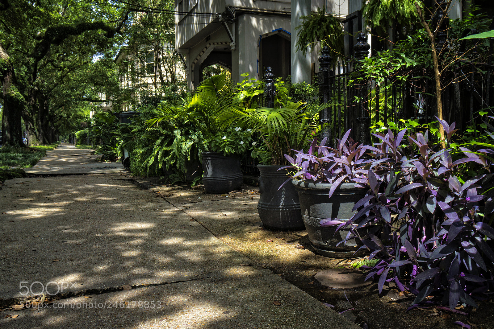 Sony Alpha NEX-7 sample photo. Garden district photography