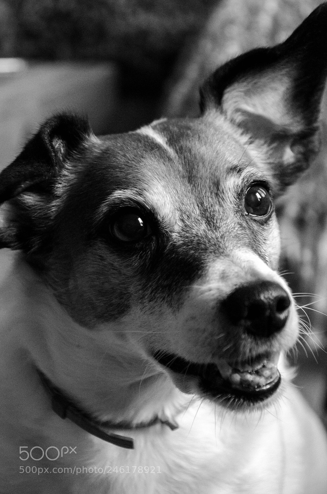 Nikon D5100 sample photo. Do you have a photography