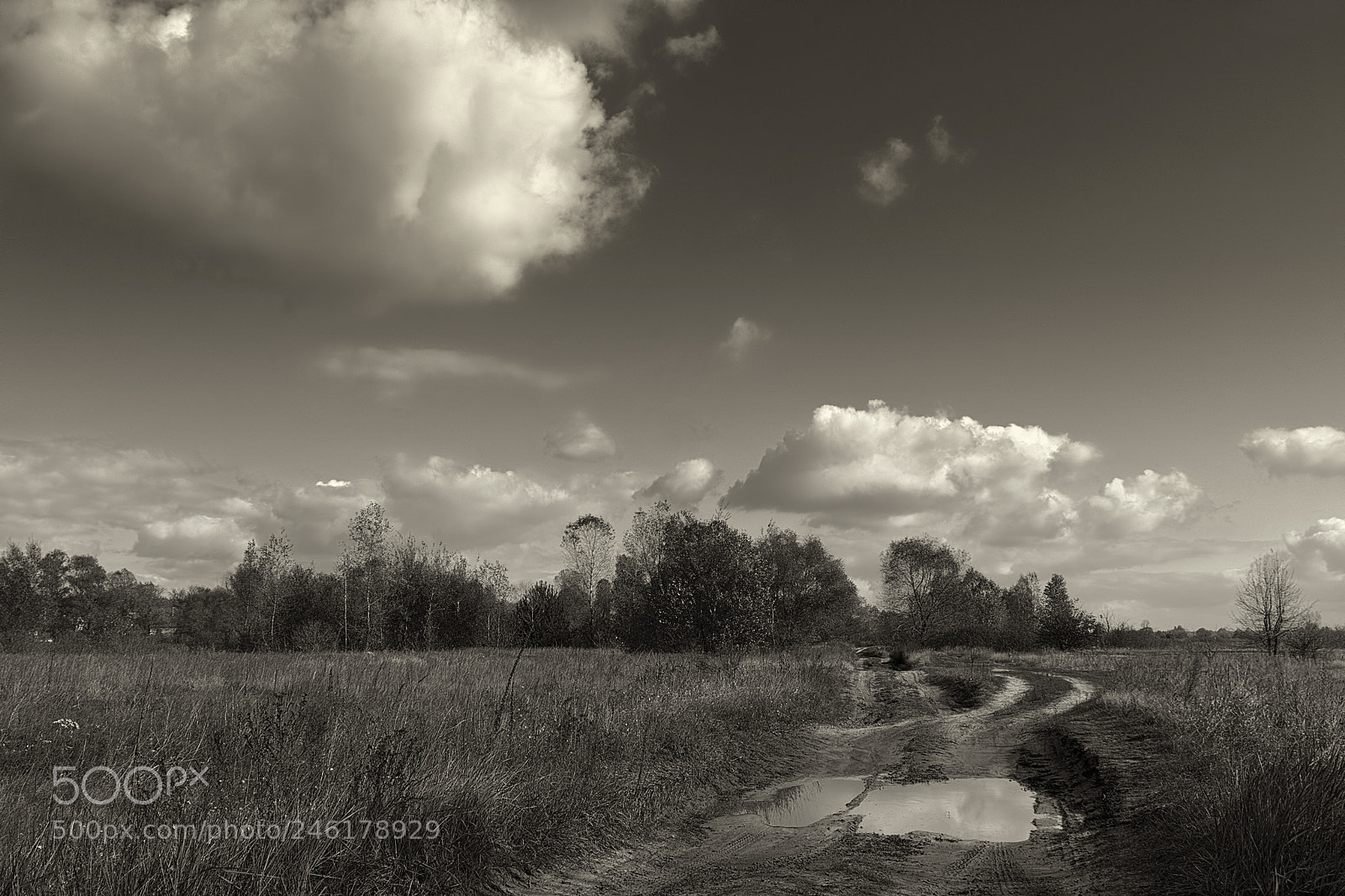 Nikon D7100 sample photo. Autumn day photography
