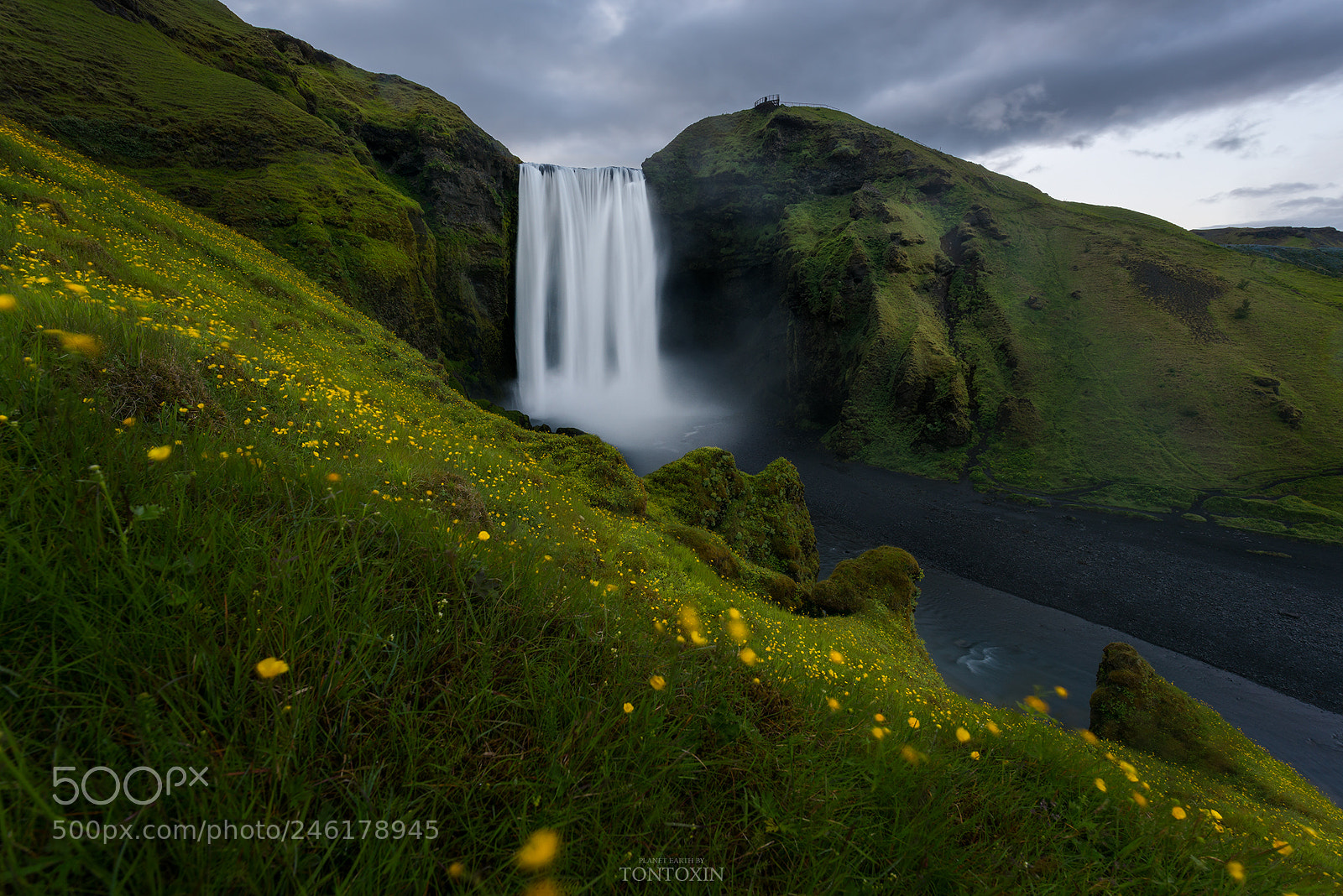 Nikon D810 sample photo. Scene of happiness photography