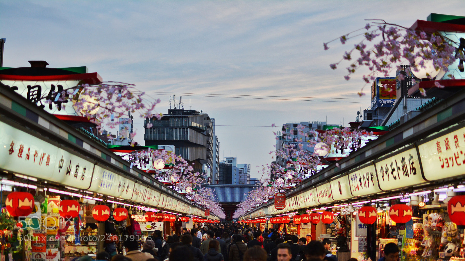 Nikon D5200 sample photo. Beauty of japan photography