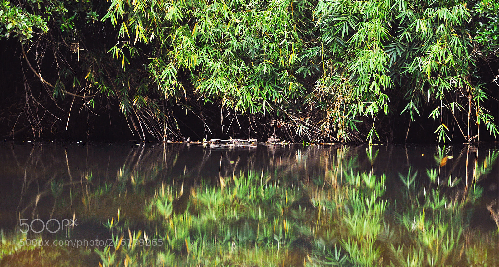 Nikon D90 sample photo. Silent river photography