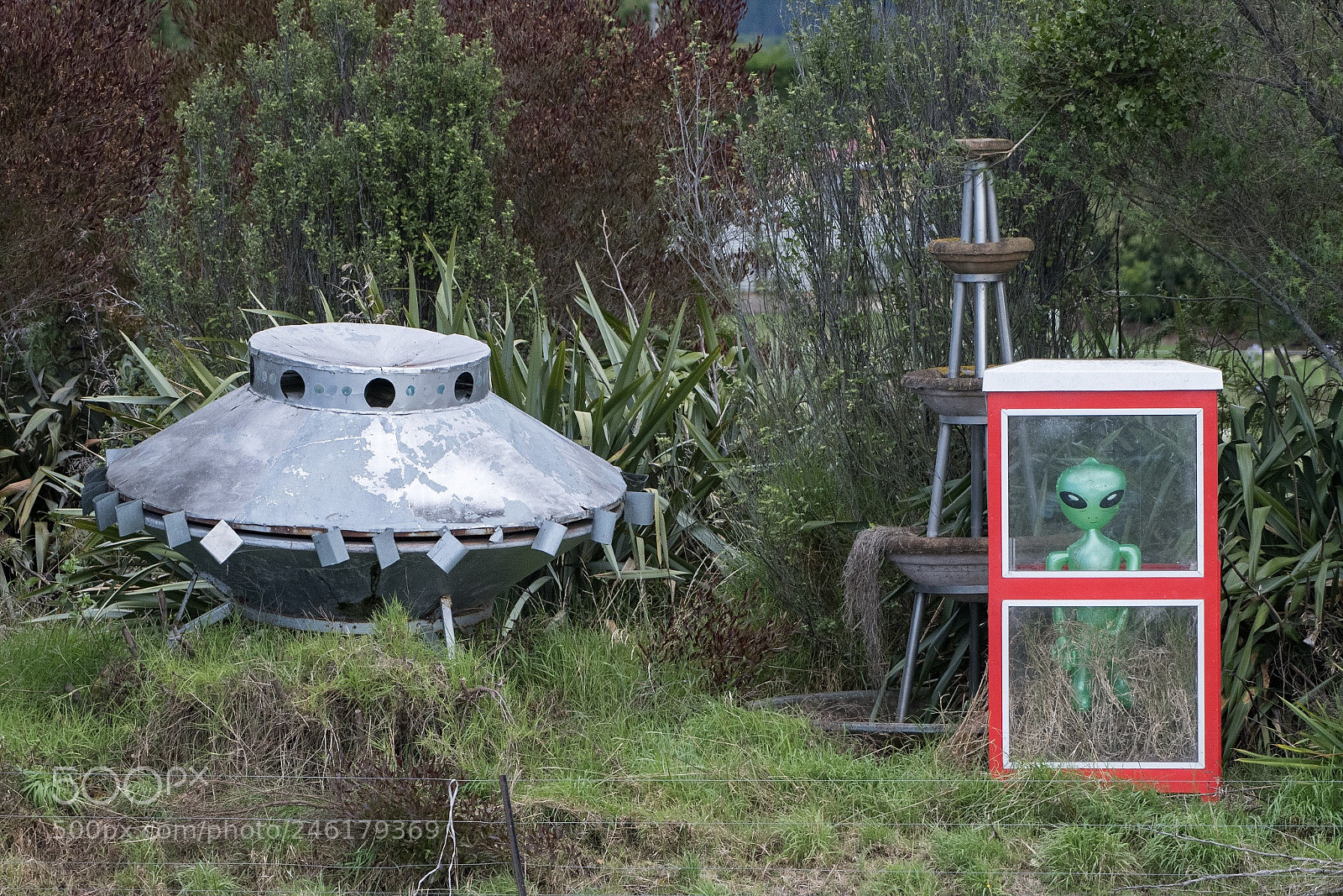 Nikon D500 sample photo. E.t. phone home... motueka photography