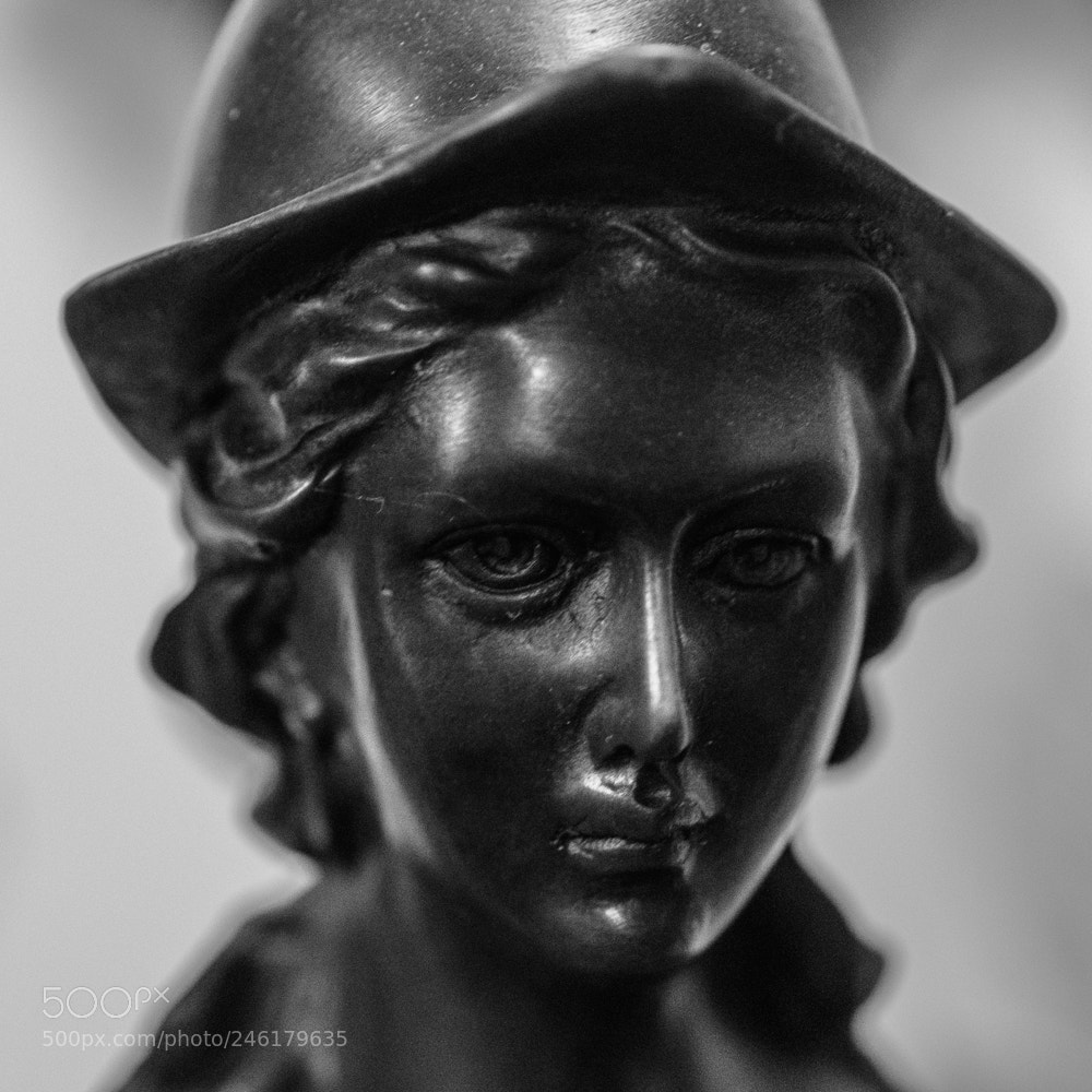 Nikon D5600 sample photo. Head photography