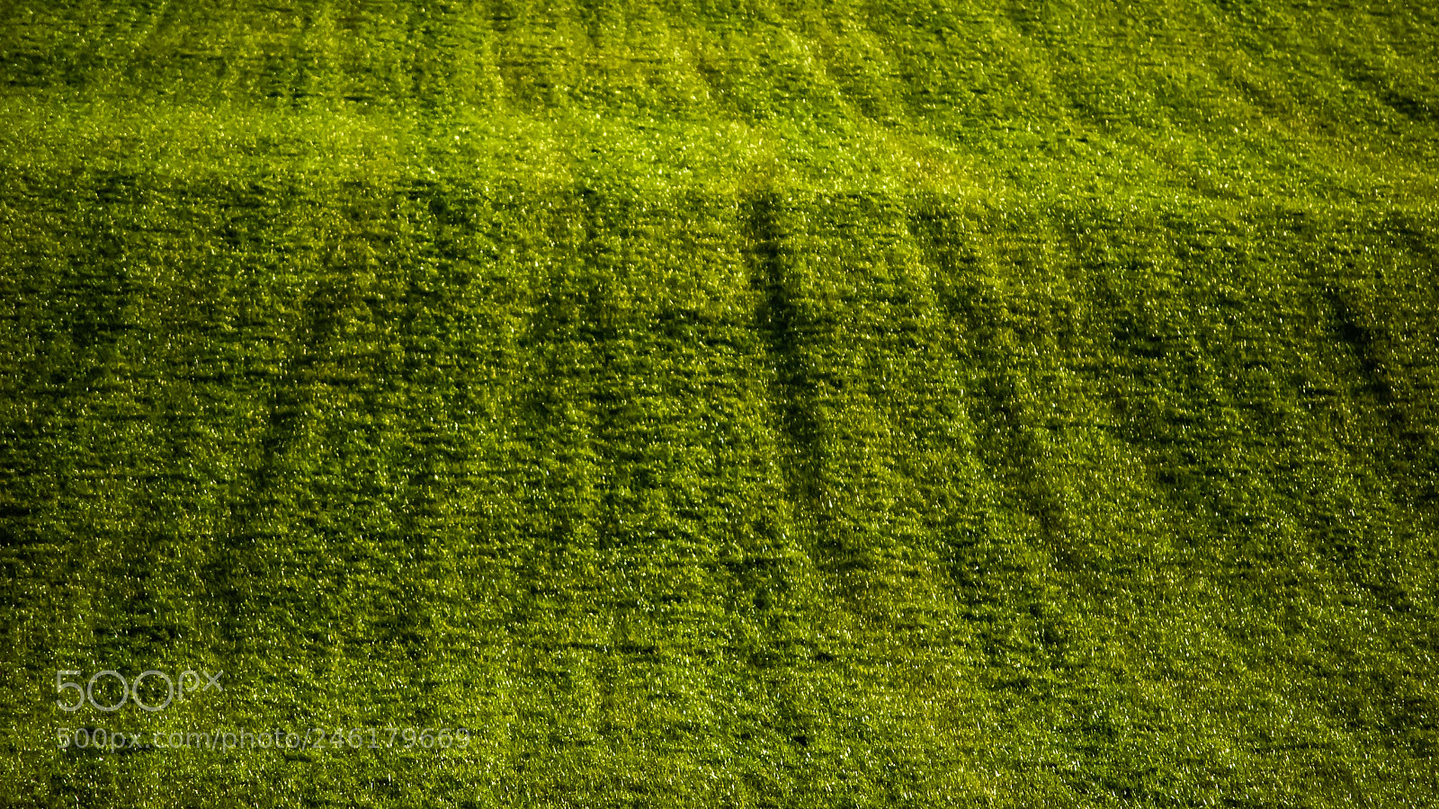 Nikon D40X sample photo. Grassy slopes photography