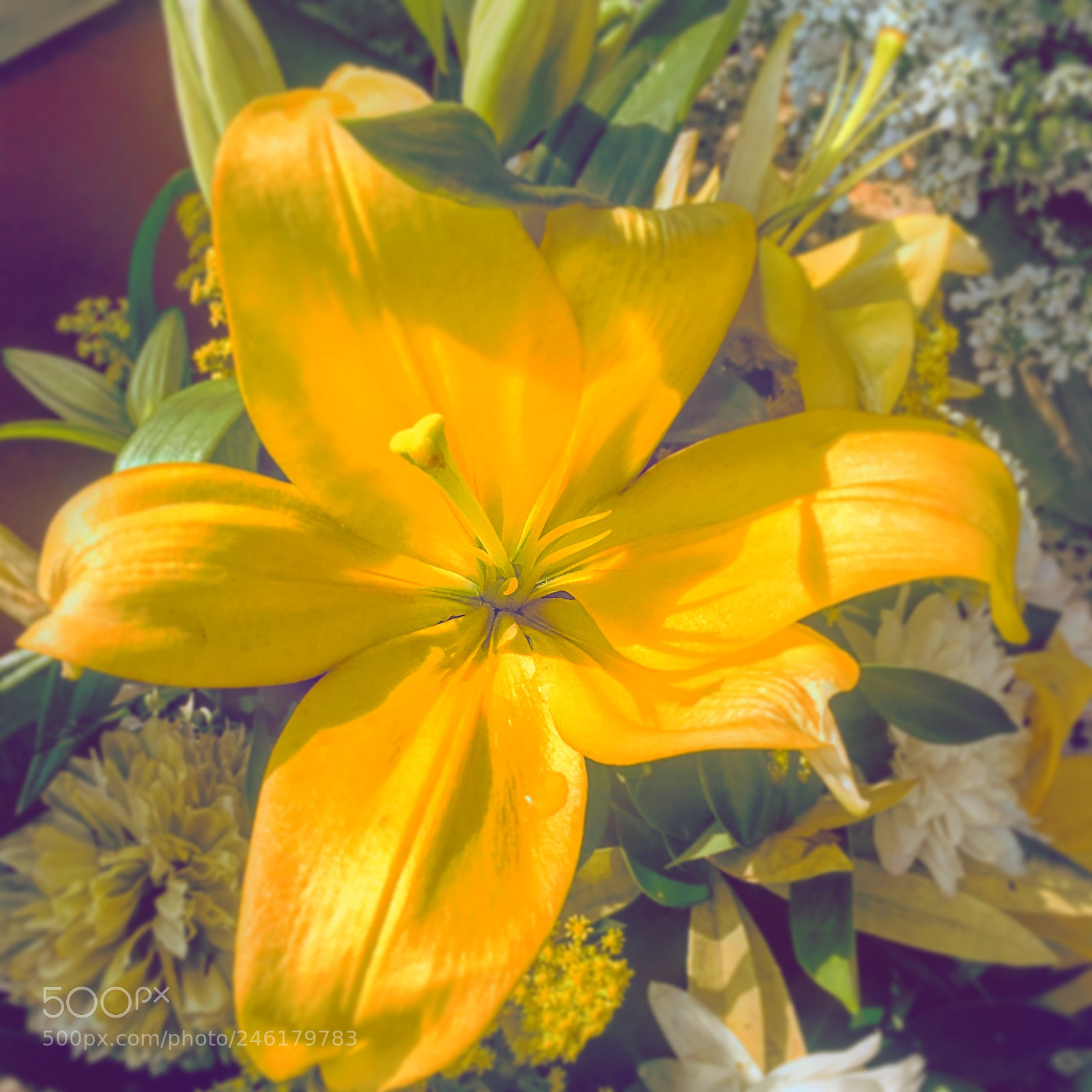 Apple iPhone 6s Plus sample photo. Untitled photography