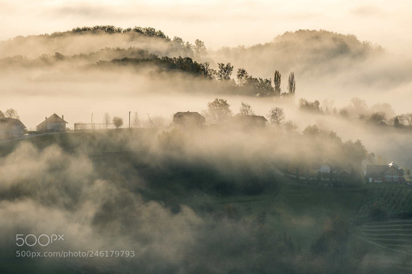 Sony a6500 sample photo. Morning mist photography