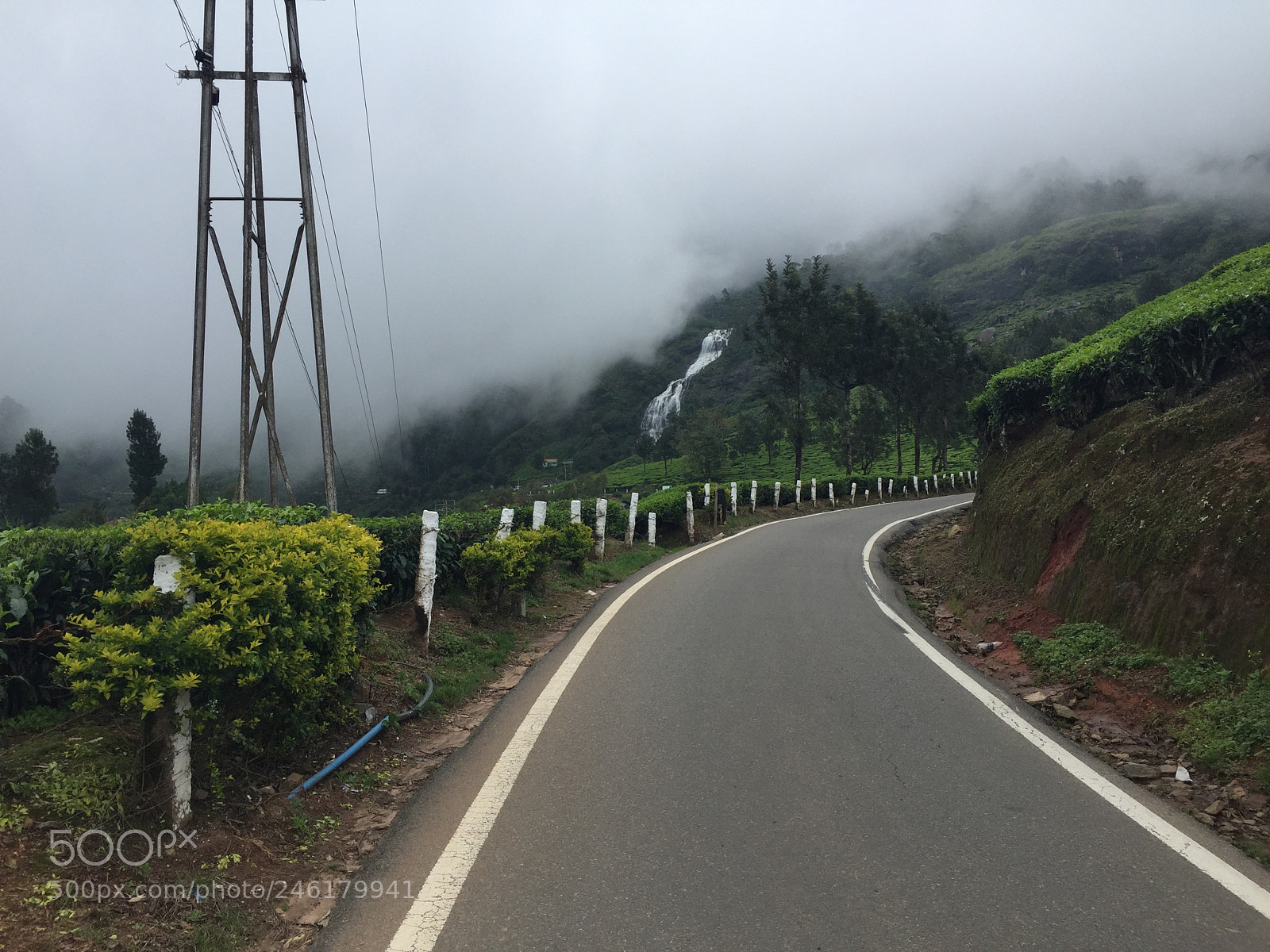 Apple iPhone 6 Plus sample photo. Munnar photography