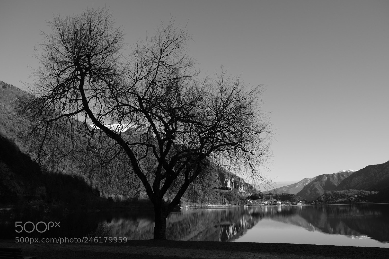 Fujifilm X-T2 sample photo. Untitled photography