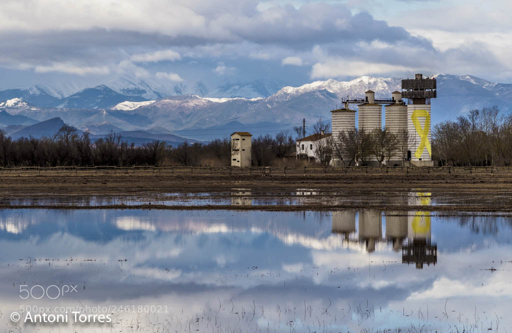 Olympus OM-D E-M1 Mark II sample photo. Els sils del mat photography