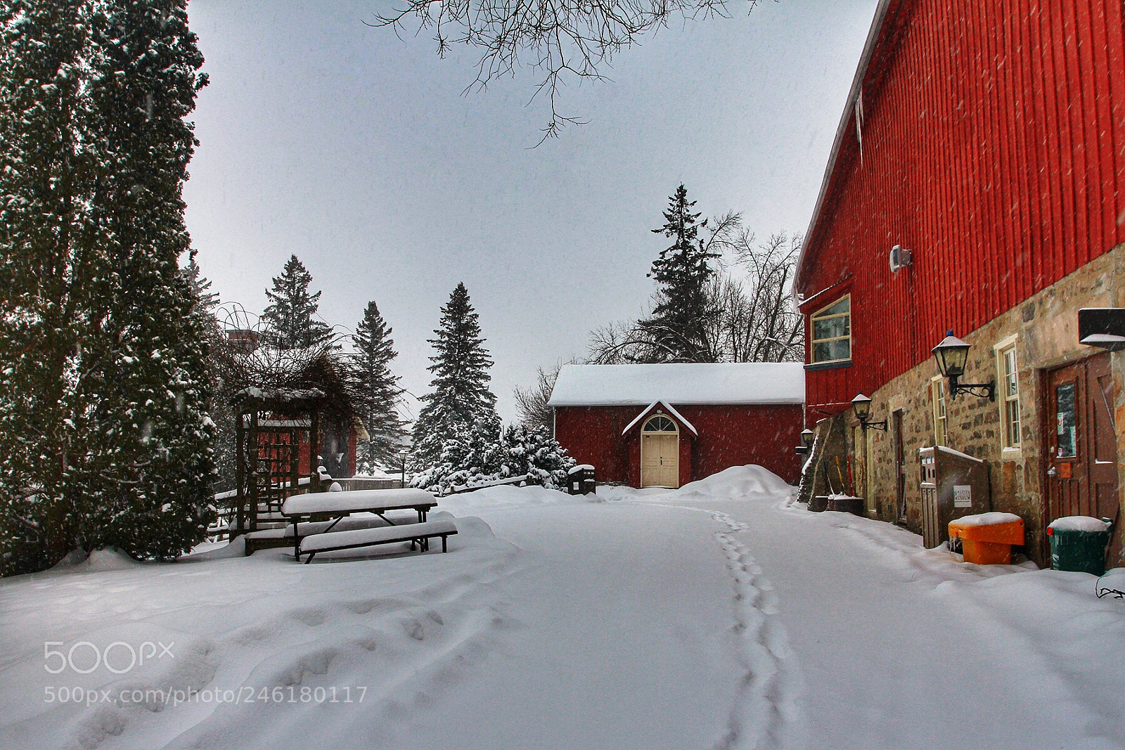 Canon EOS 7D sample photo. Winter color photography