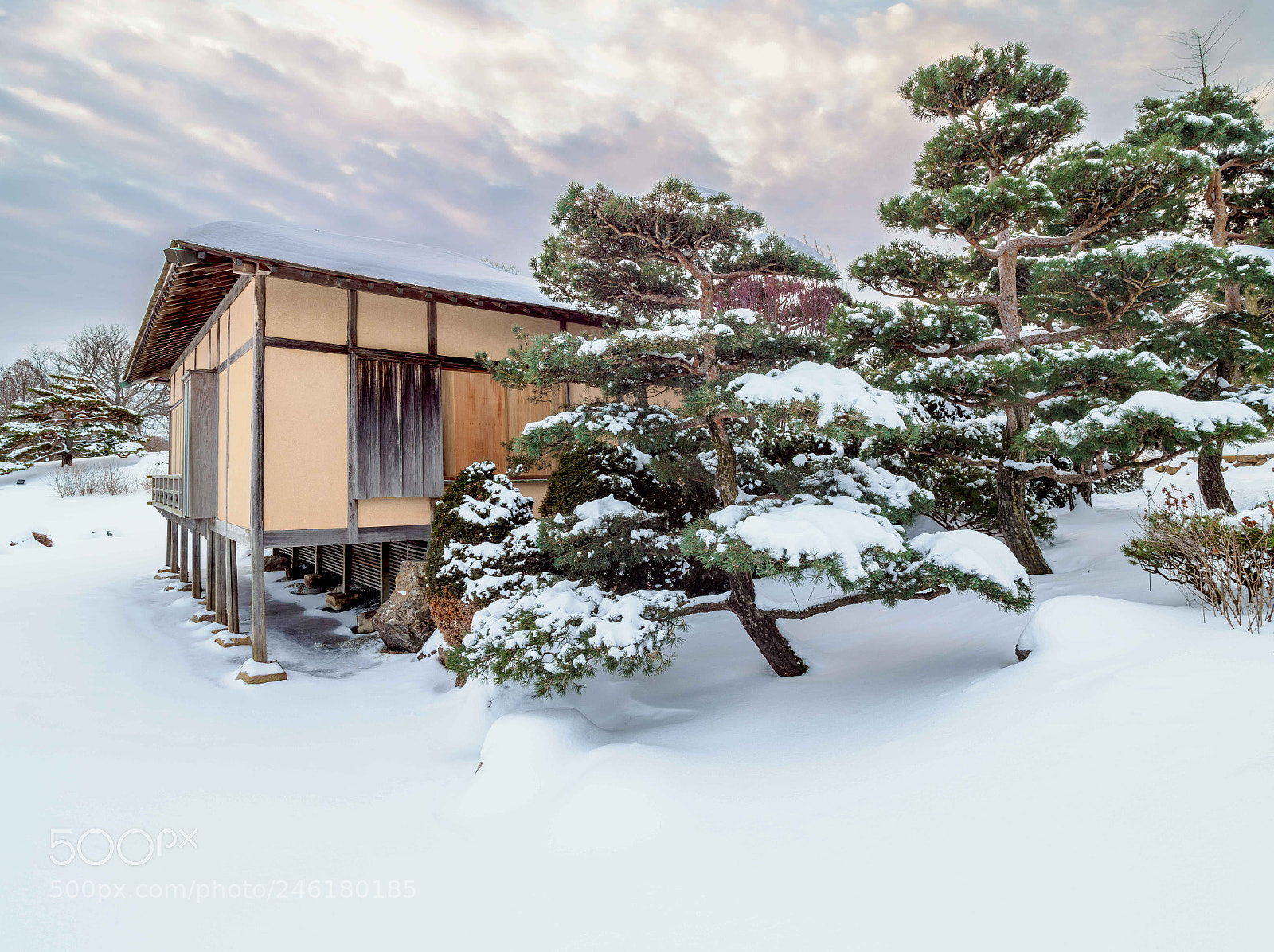 Olympus OM-D E-M1 Mark II sample photo. Winter scene photography