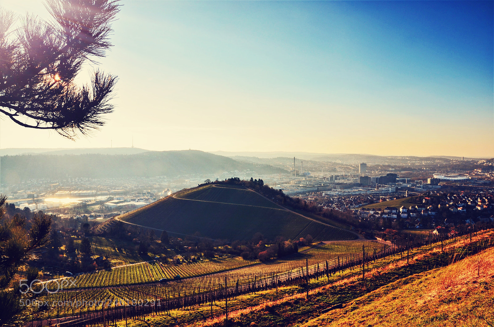 Nikon D5100 sample photo. Sunshine photography