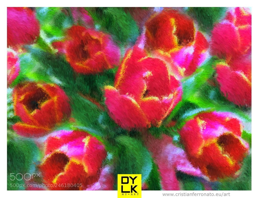 HUAWEI honor 6x sample photo. Tulipani impressionisti photography