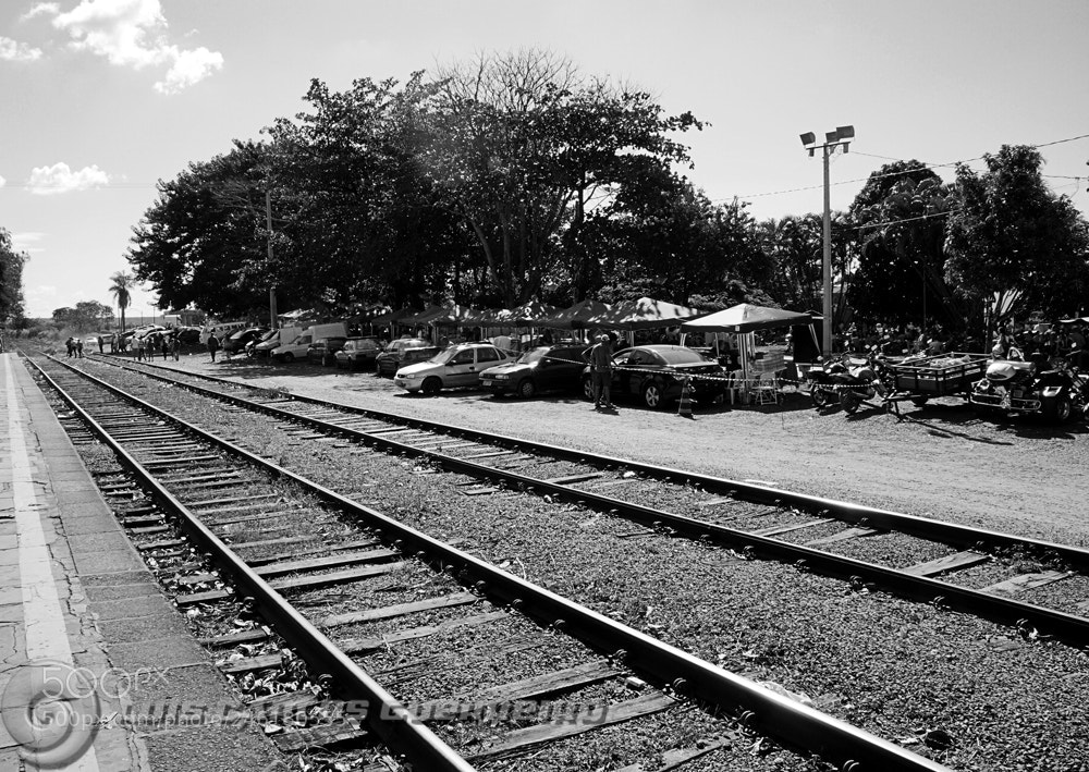 Sony Alpha a3000 sample photo. Dsc photography