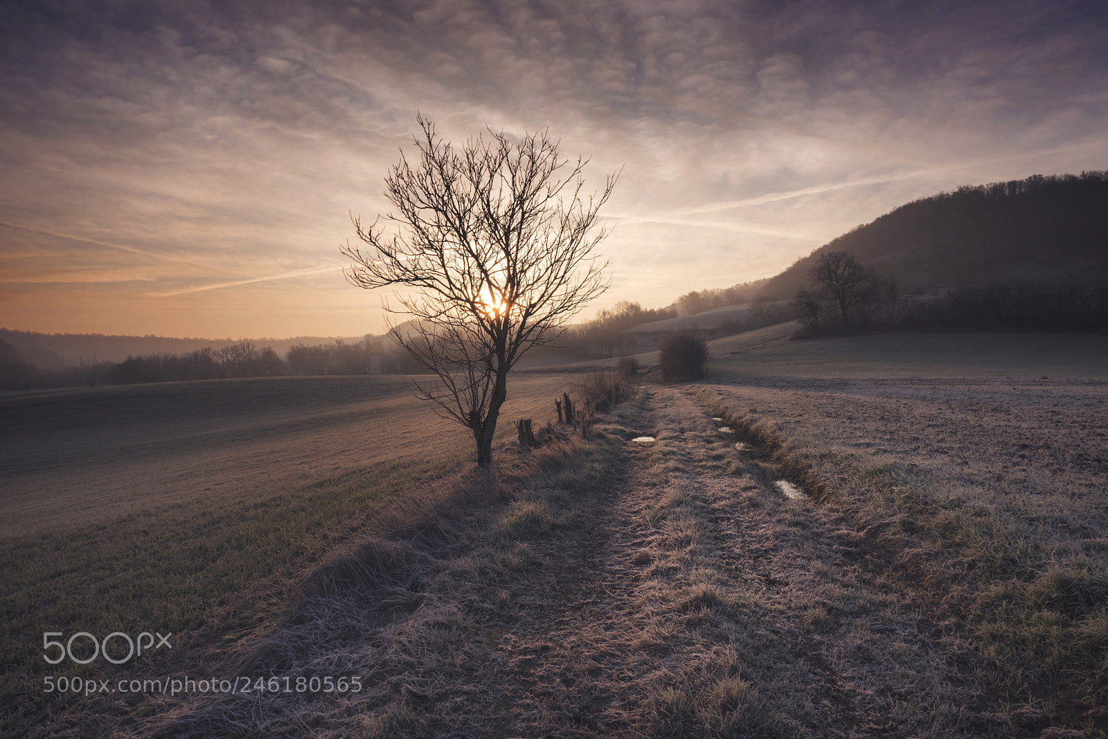 Nikon D810 sample photo. Another day dawns photography