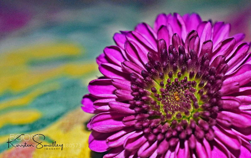 Nikon D3400 sample photo. Groovy photography
