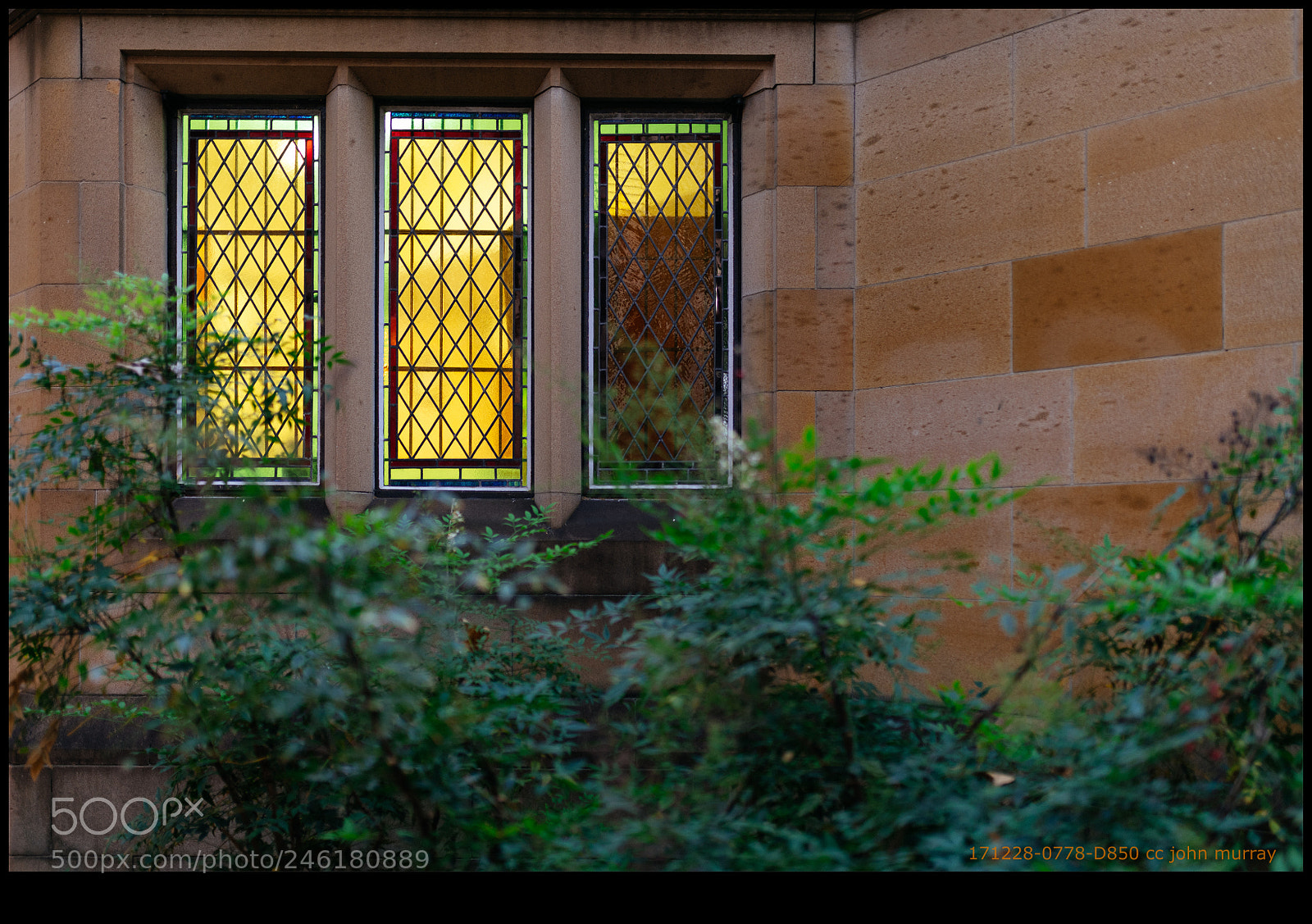 Nikon D850 sample photo. 171228-0778-d850.nef photography