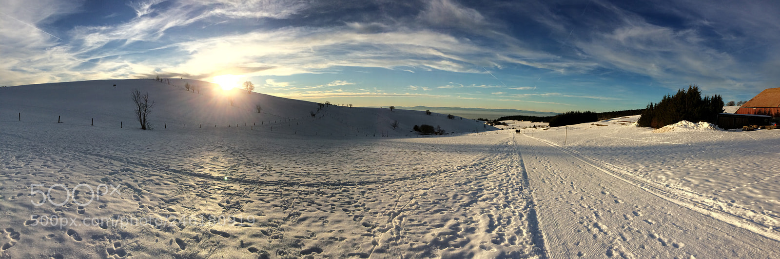 Apple iPhone 5s sample photo. Winterwonderland photography