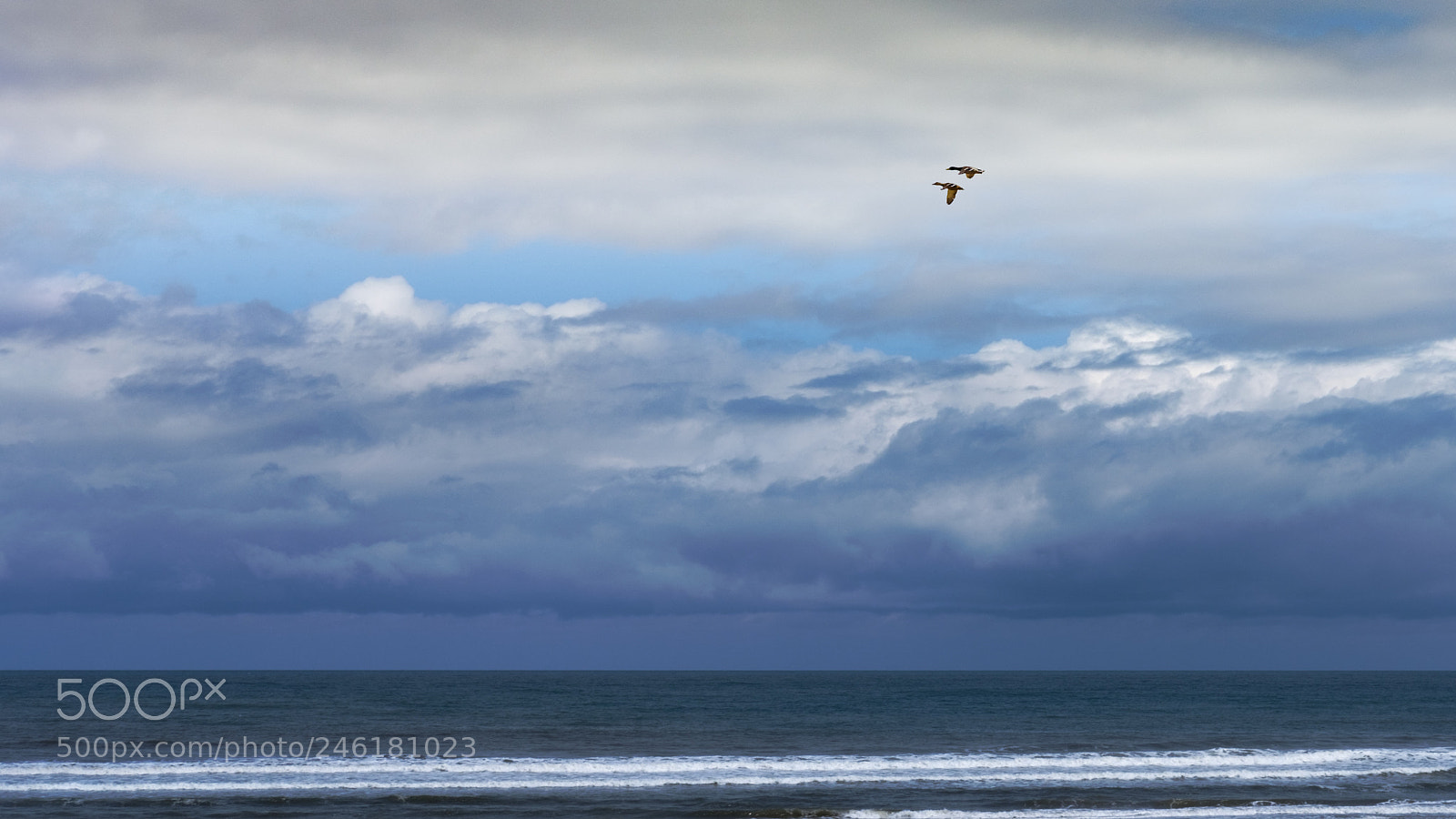 Fujifilm X-Pro2 sample photo. Above the sea photography