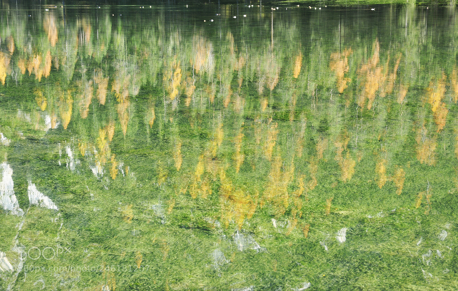 Nikon D90 sample photo. Other world photography