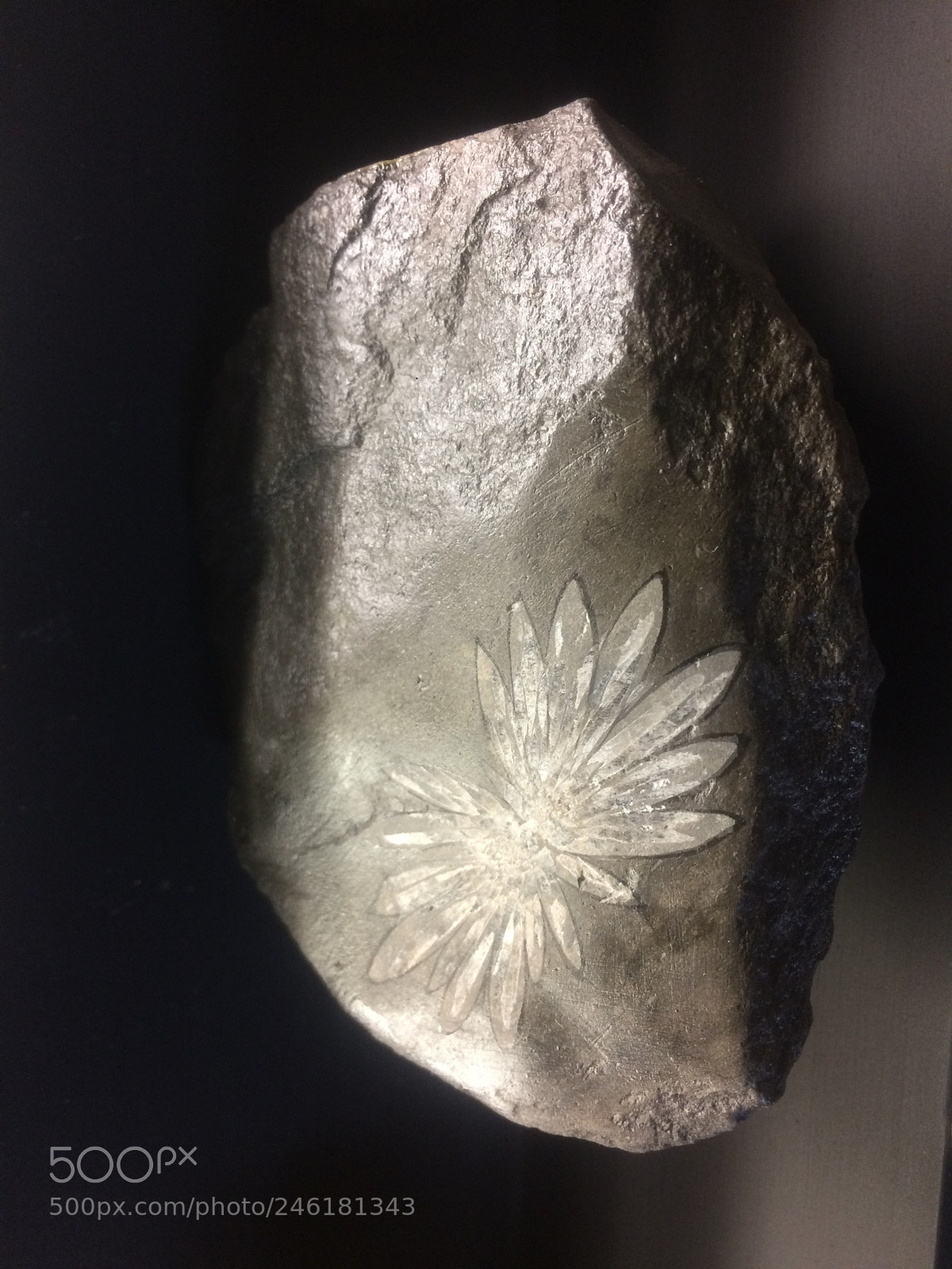 Apple iPhone 5s sample photo. Mineral with a print photography