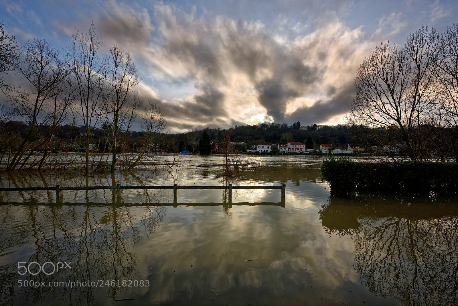 Nikon D810 sample photo. Submerged by a winter photography