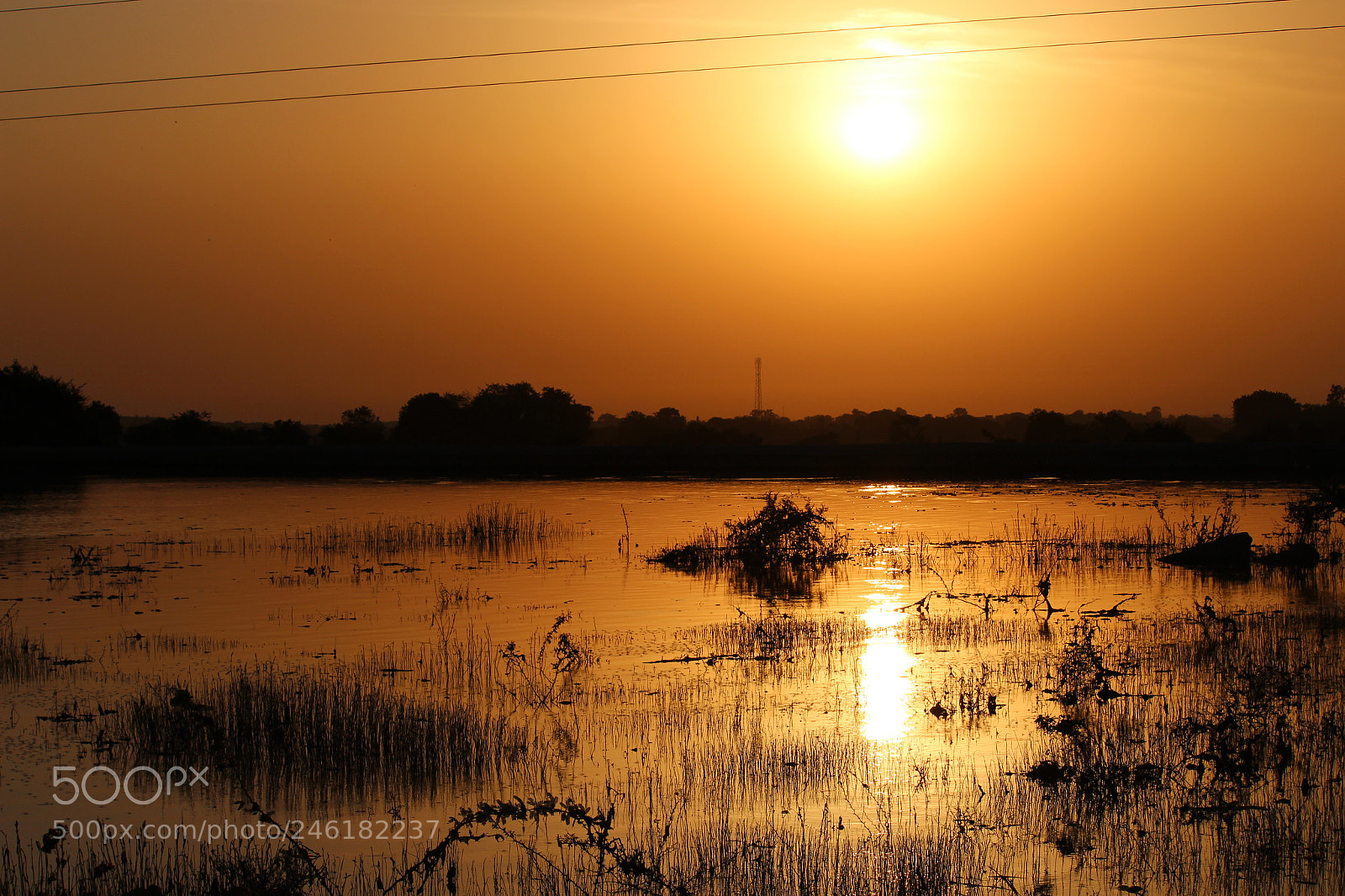 Canon EF-S 55-250mm F4-5.6 IS II sample photo. Img photography