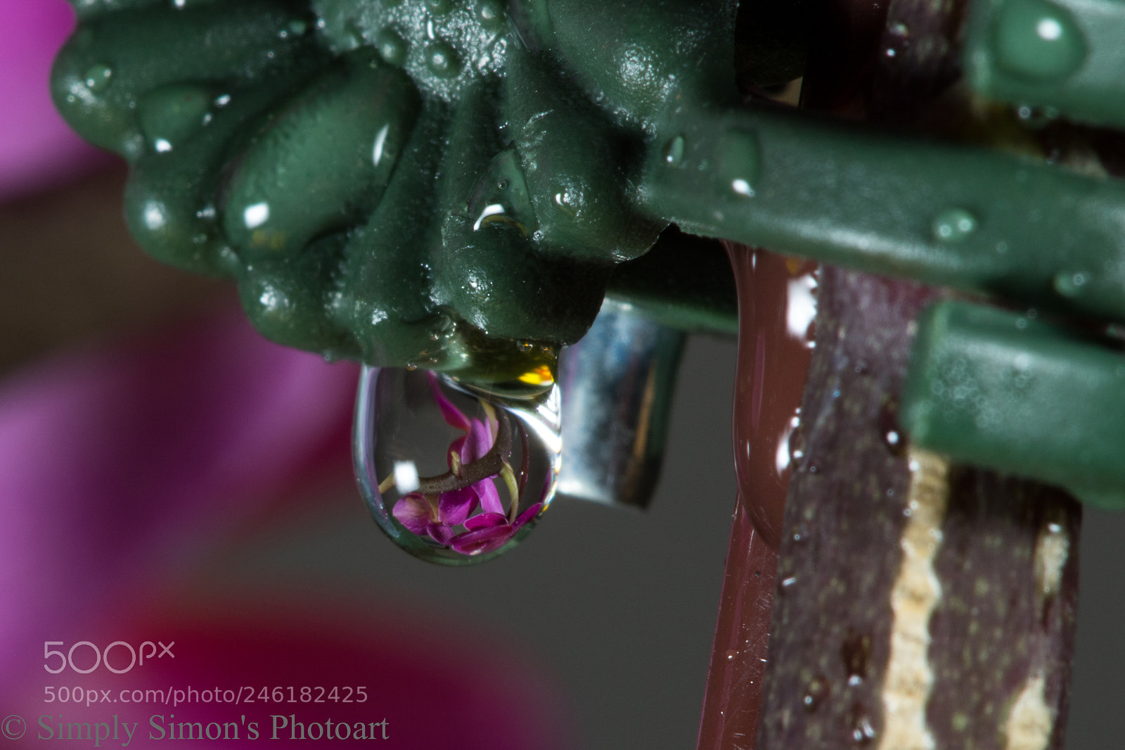 Canon EOS 7D Mark II sample photo. Purple orchid photography