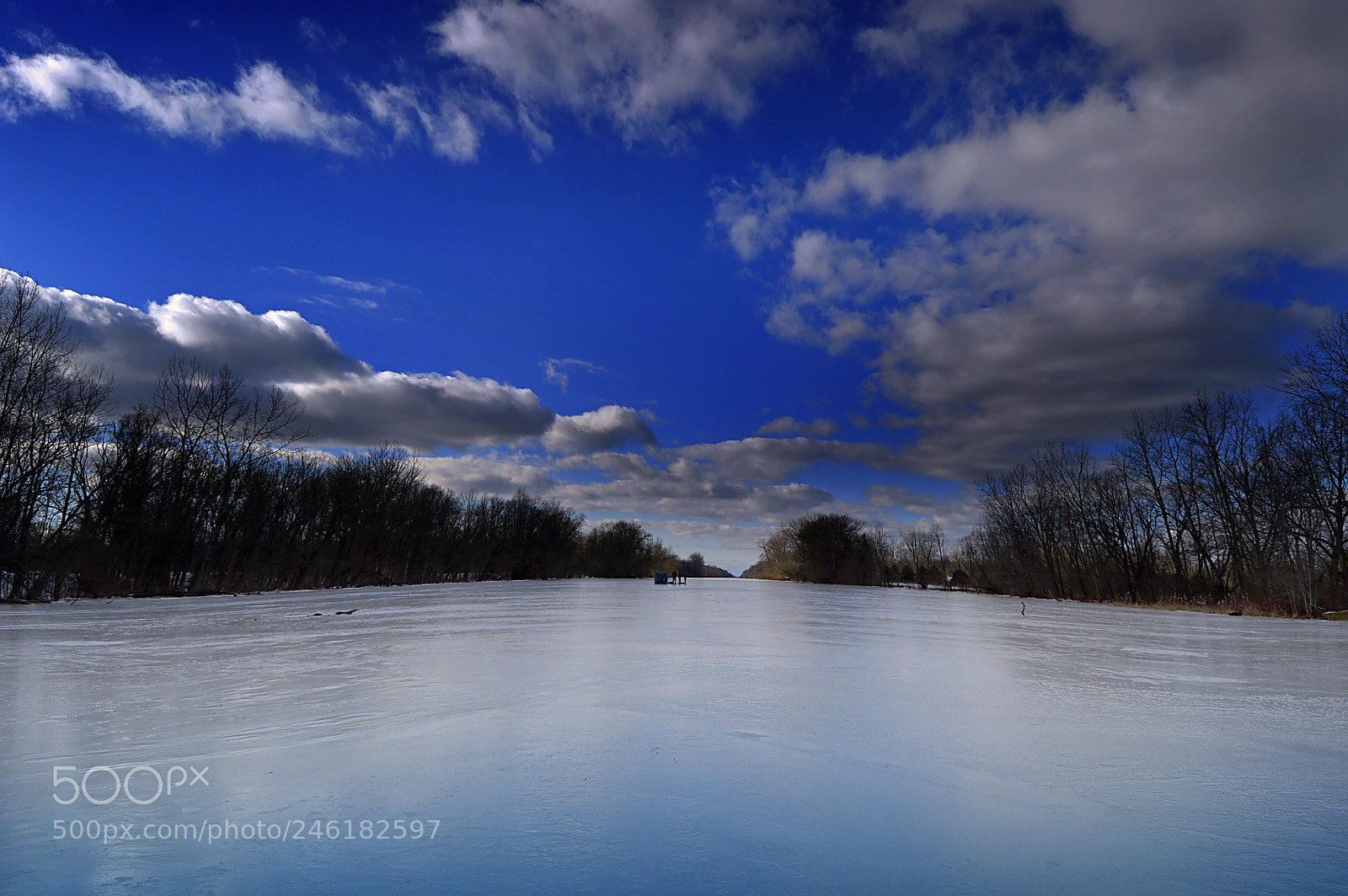 Nikon D3200 sample photo. Frozen over photography