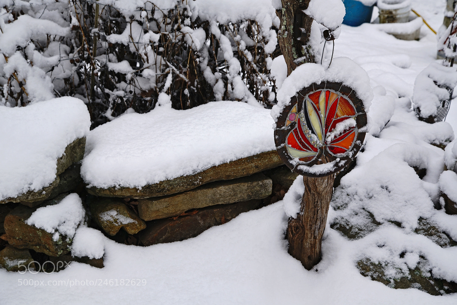 Sony a7R II sample photo. Snow blossom photography