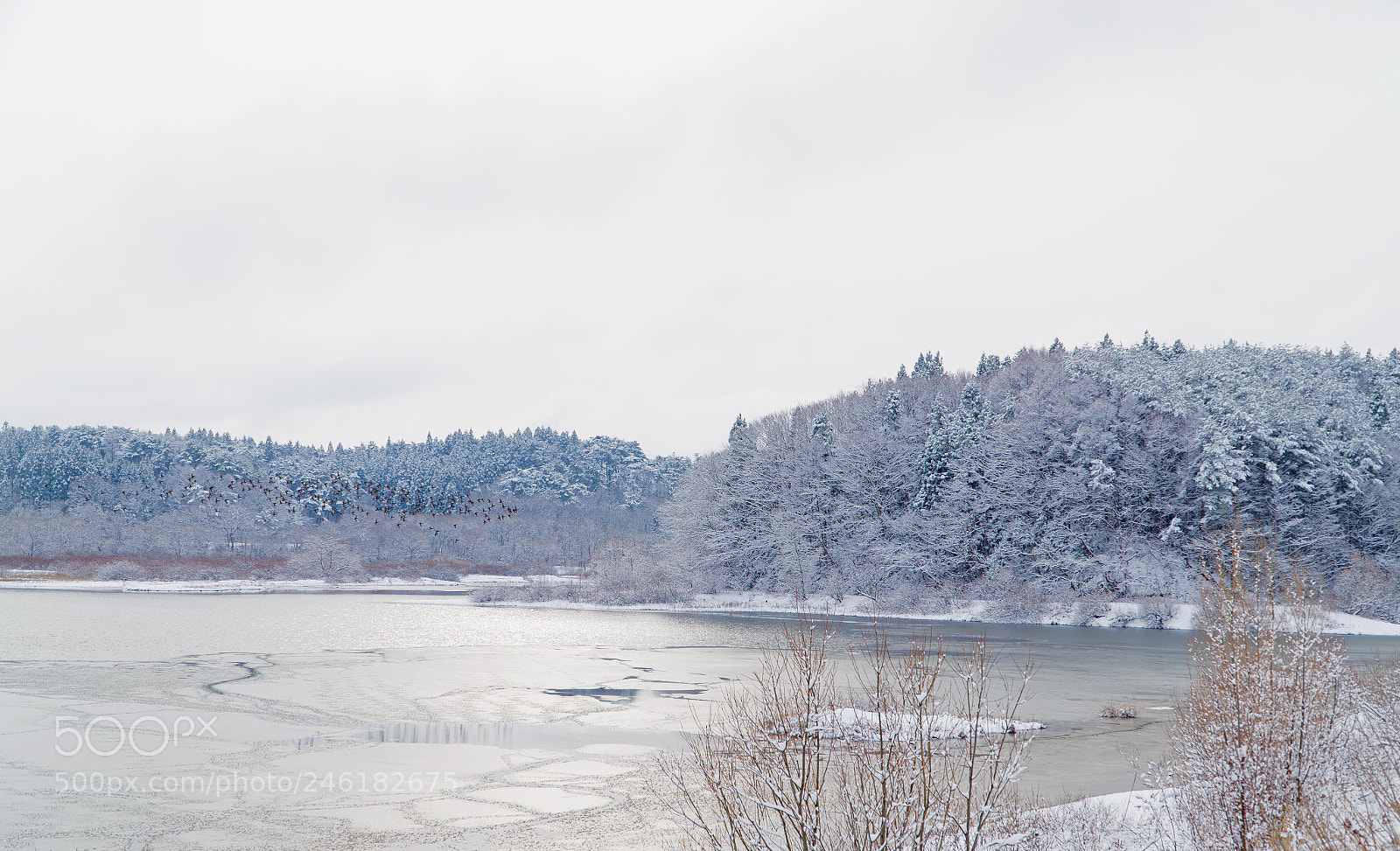 Sony Alpha a5000 (ILCE 5000) sample photo. Morita photography